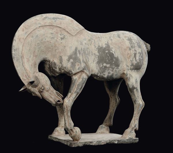 Cavallo in terracotta dipinta, Cina, Dinastia Tang (618-906)