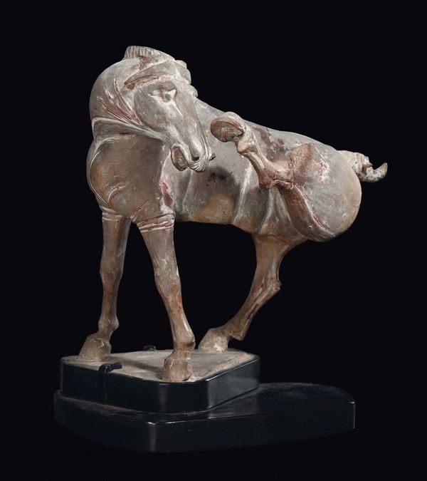 Cavallo in terracotta dipinta con una zampa sollevata, Cina, Dinastia Tang (618-906)