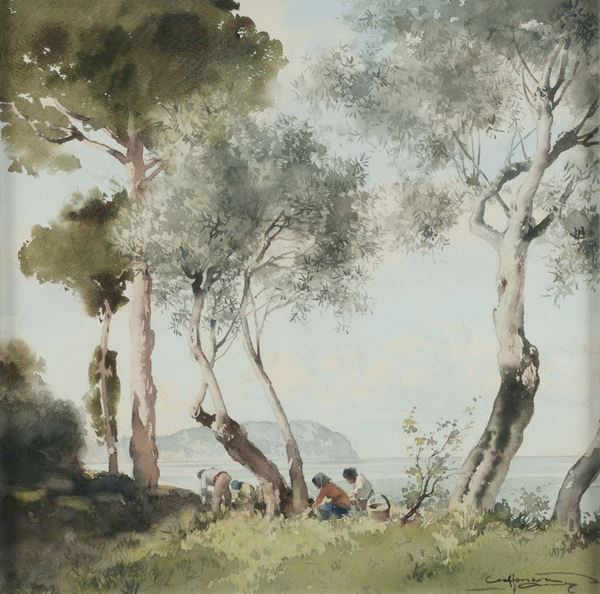 Aurelio Craffonara (1875-1945) La raccolta degli ulivi