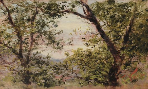 Francesco Vinea (1845-1902) Studio di alberi