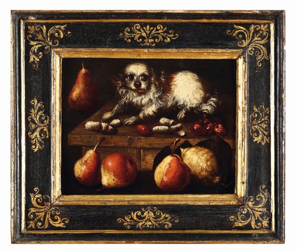 Scuola del XVII secolo Natura morta con frutta e cagnolino