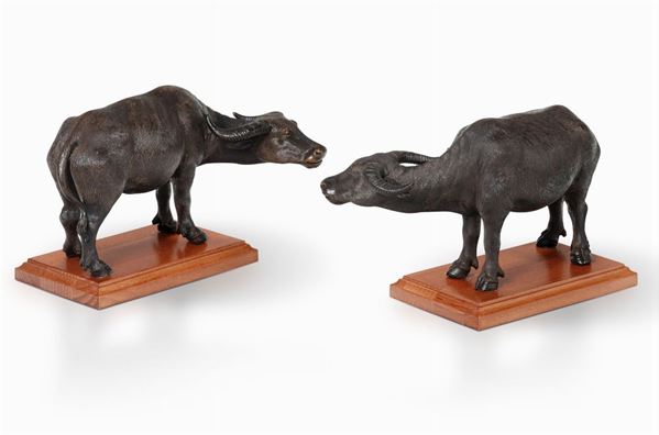 Two terracotta buffalos, 1800s