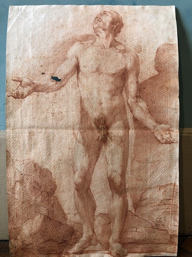 Scuola bolognese del XVIII secolo Studio di nudo  - matita rossa su carta - Asta Dipinti Antichi | Cambi Time - Cambi Casa d'Aste