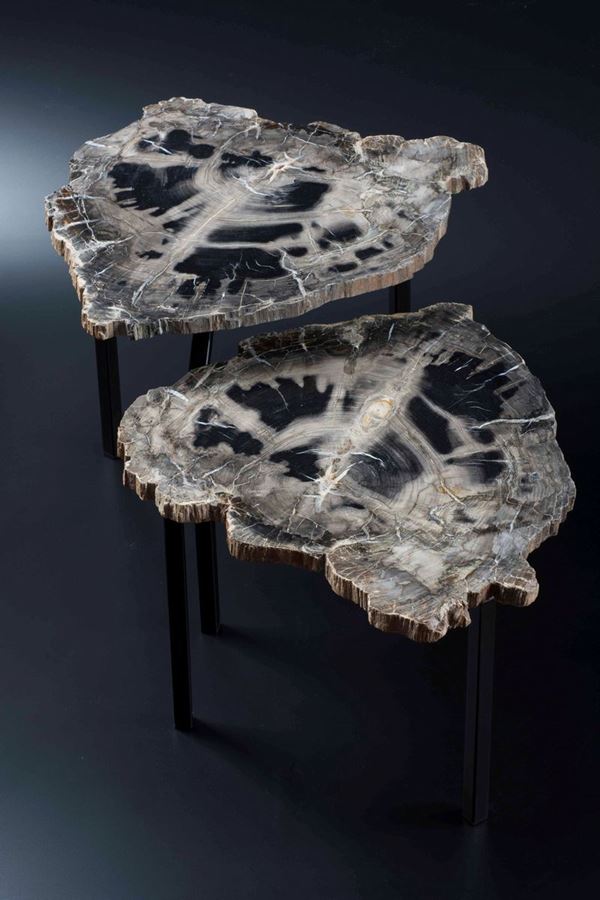 Coppia di tavolini in legno fossile