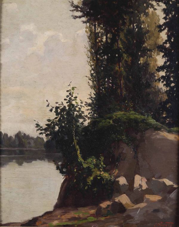 Cesare Viazzi (1857 - 1943) Paesaggio sull’Orba con roccia e rampicante, 1903-1908