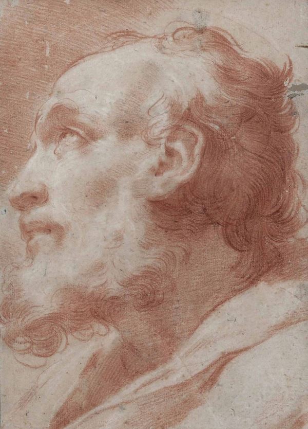 Gaetano Gandolfi (Bologna 1734-1802) Testa di Apostolo