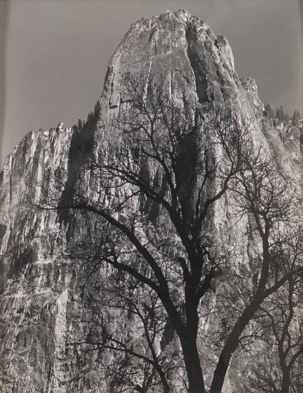 Ansel Adams (1902-1984) Sentinel Rock, Oak Tree