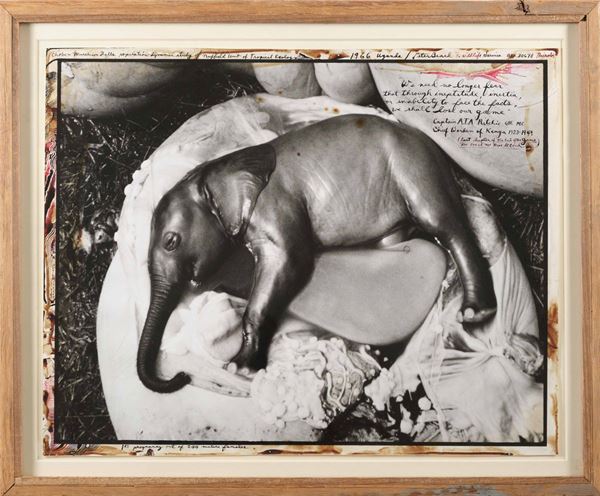 Peter Beard (1938) 1966, Uganda (Elephant Embryo)