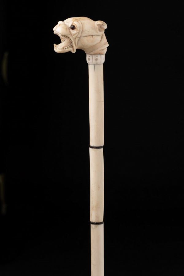 Bastone con impugnatura in avorio. Fine XIX secolo
