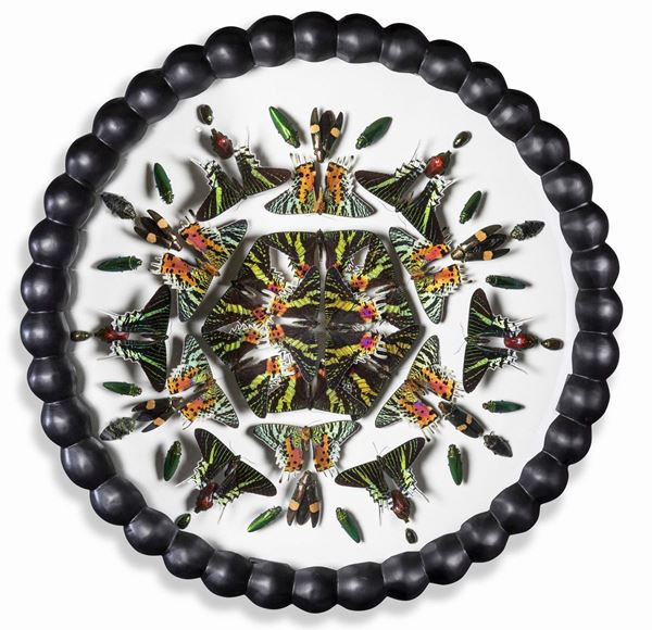A composition with butterflies in a round beaded frame.