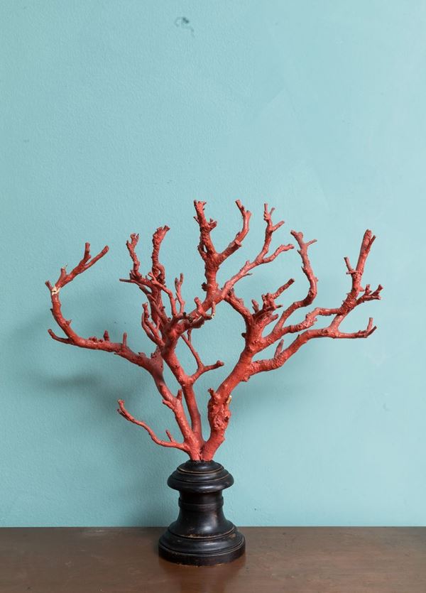 Ramo in legno ad imitazione del corallo. XX secolo