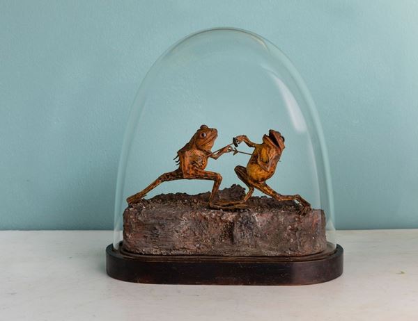Composizione con rane in duello, tassidermia entro campana di vetro. Inghilterra, fine XIX secolo