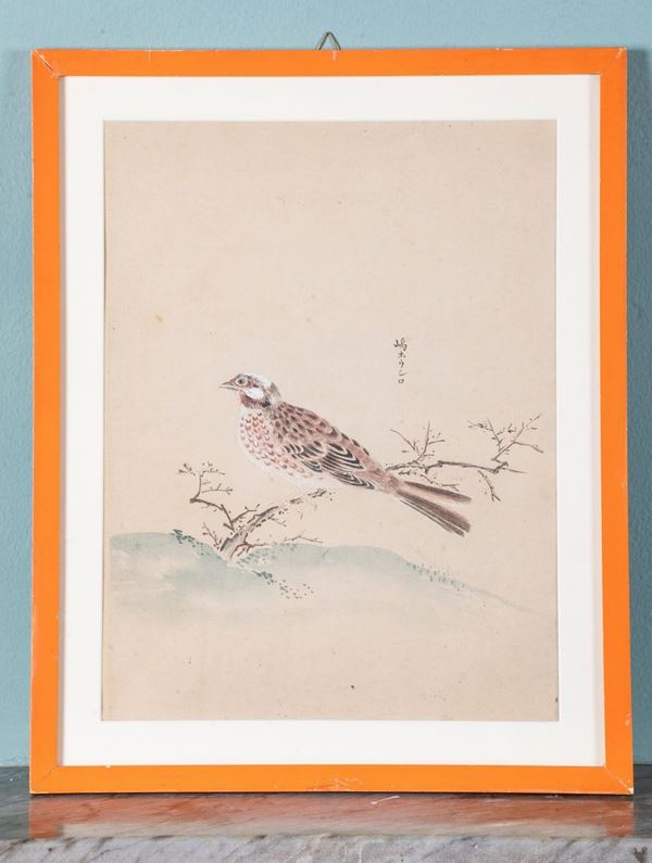 Tre stampe acquerellate su carta a tema ornitologico con iscrizioni. Giappone, XX secolo